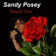 Touch You cover