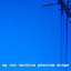 Phantom Wings Albumcover