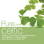 Pure... Celtic cover