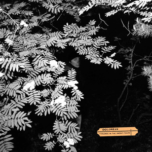 Violence in the Snowy Fields cover