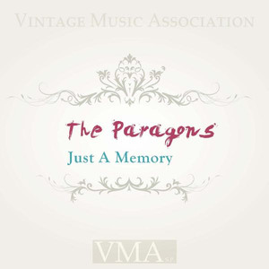 Just a Memory cover