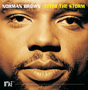 After the Storm cover