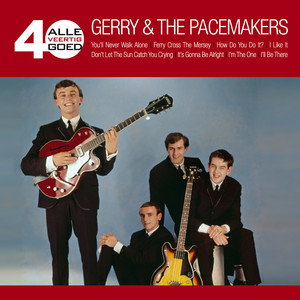 Alle 40 Goed album