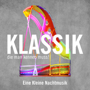 Eine Kleine Nachtmusik cover