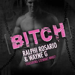 Bitch album