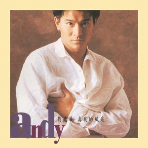 真我的風采 Albumcover