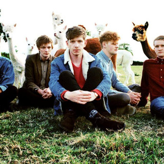 D.I.D. Photo