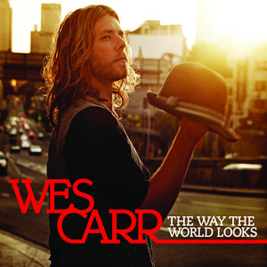 The Way the World Looks cover