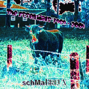 The Essentials 1989-2004 Albumcover