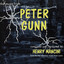The Music from Peter Gunn cover