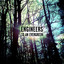 To An Evergreen cover