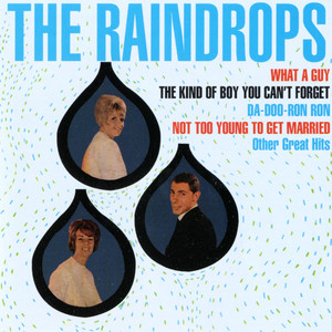 The Raindrops album