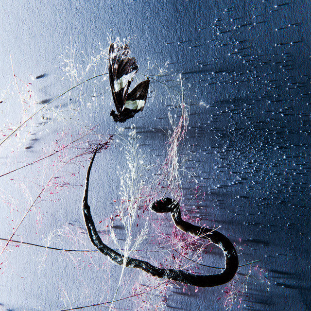 Iii cover
