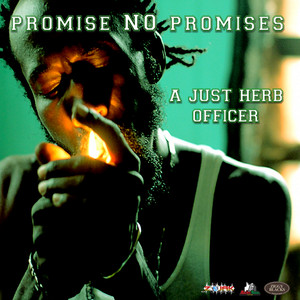 Promise No Promises