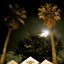 Dream Book Albumcover