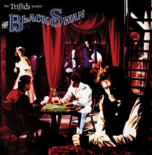 The Black Swan cover