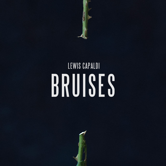 Bruises cover