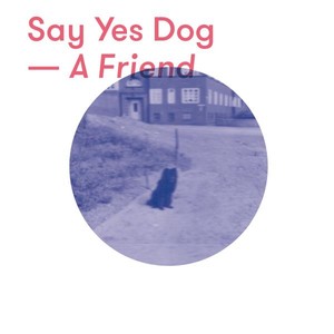 Say Yes Dog