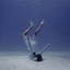 Shapeshifting (Deluxe Edition) cover