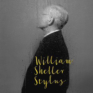 Stylus cover