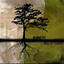 Wall Of Clouds Albumcover