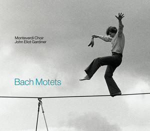 Motets cover