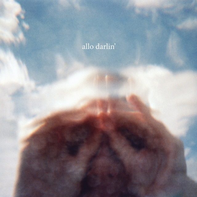 Allo Darlin' cover