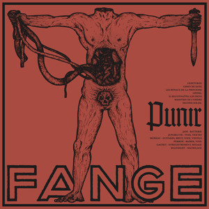 Punir cover