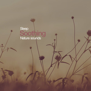 Sleep - Soothing Nature Sounds album