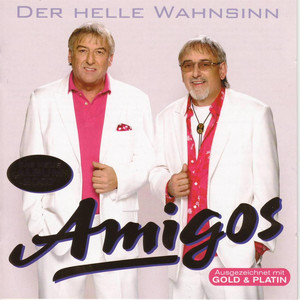 Du bist der helle Wahnsinn cover