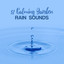 37 Calming Garden Rain Sounds cover