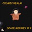 Space Monkey # 9 Albumcover