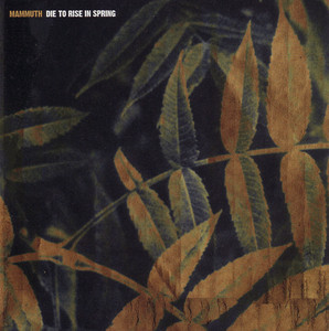 Die to Rise in Spring cover