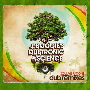 Soul Vibrations cover