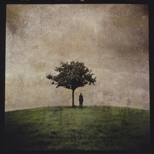 The Burial Tree (II) cover