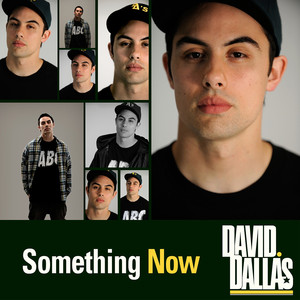 Something Now album