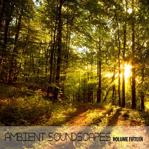 Ambient SoundScapes, Vol. 15 cover