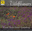 North Texas Wind Symphony: Wildflowers Albumcover