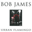 Urban Flamingo cover