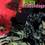 Ecobondage cover