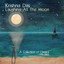 Laughing At The Moon: A Collection of Classics 1996-2005 cover