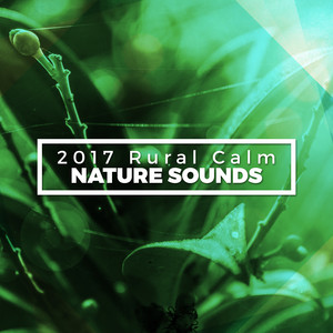 2017 Rural Calm Nature Sounds album