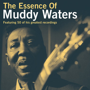 The Essence of Muddy Waters album