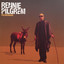 Pilgremage cover