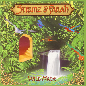 Wild Muse cover