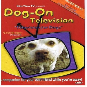 Dog On Television