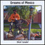 Dreams of Mexico Albumcover