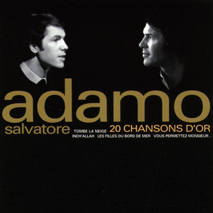 20 chansons d'or cover