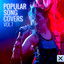 Popular Song Covers - Vol. 7 Albumcover