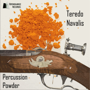 Teredo Navalis